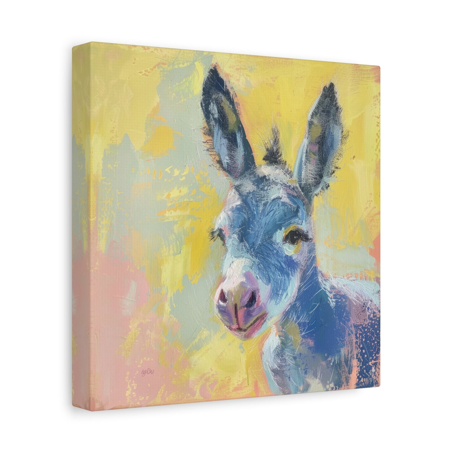 BURRO – BABY BLUE