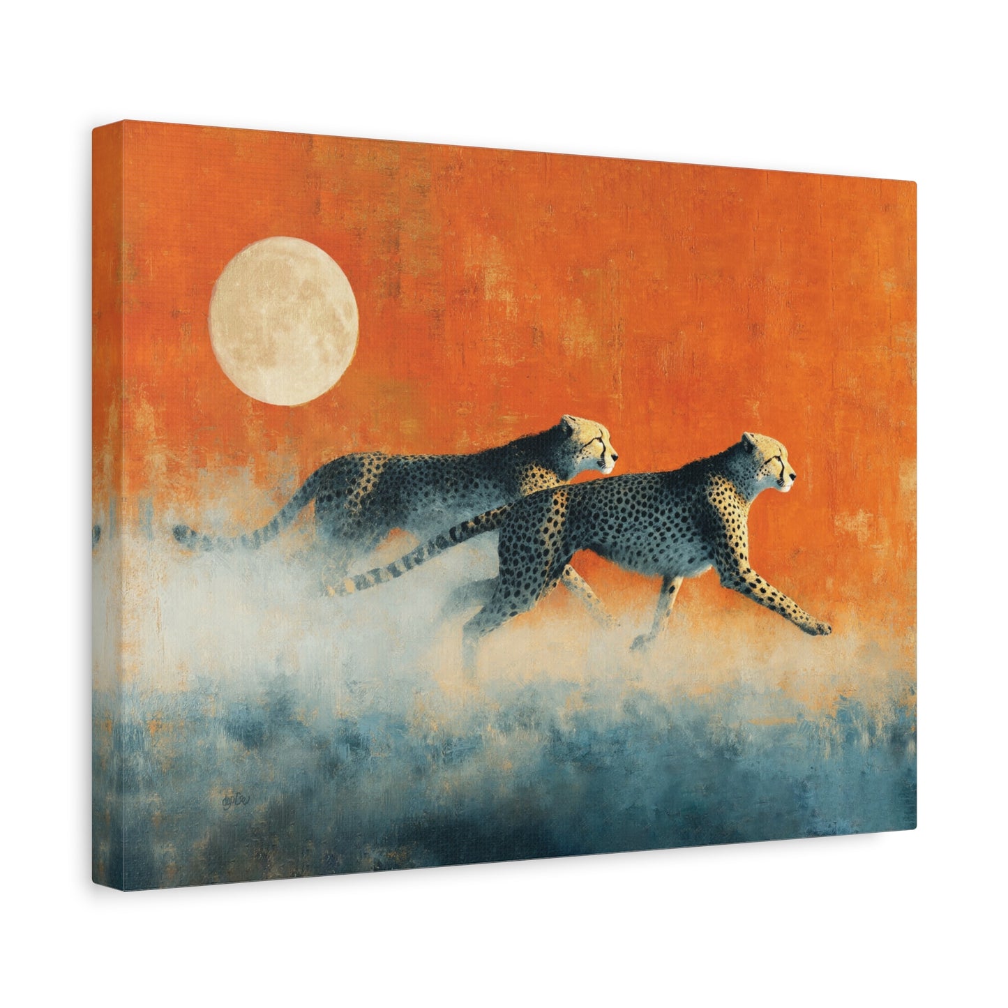 SUNRISE, FULL MOON CHEETAHS