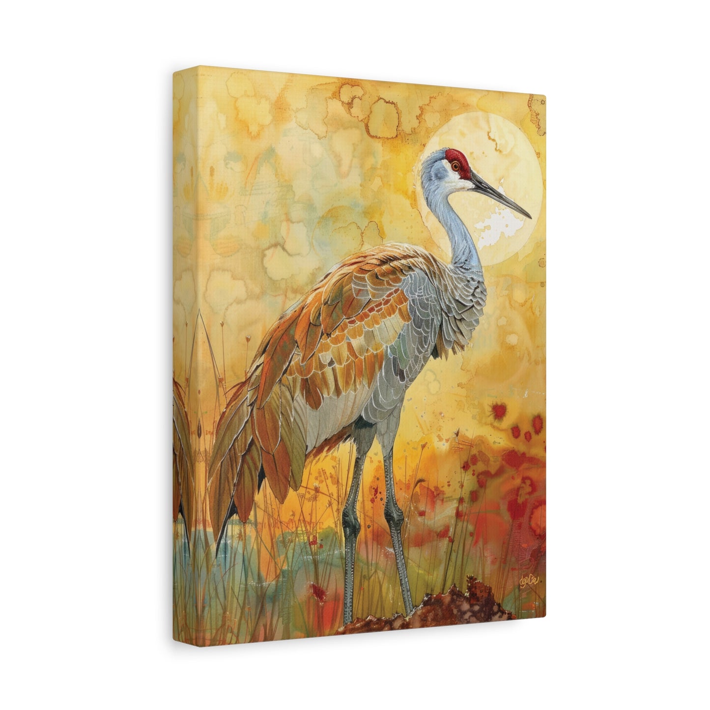 SANDHILL CRANE GLOWING