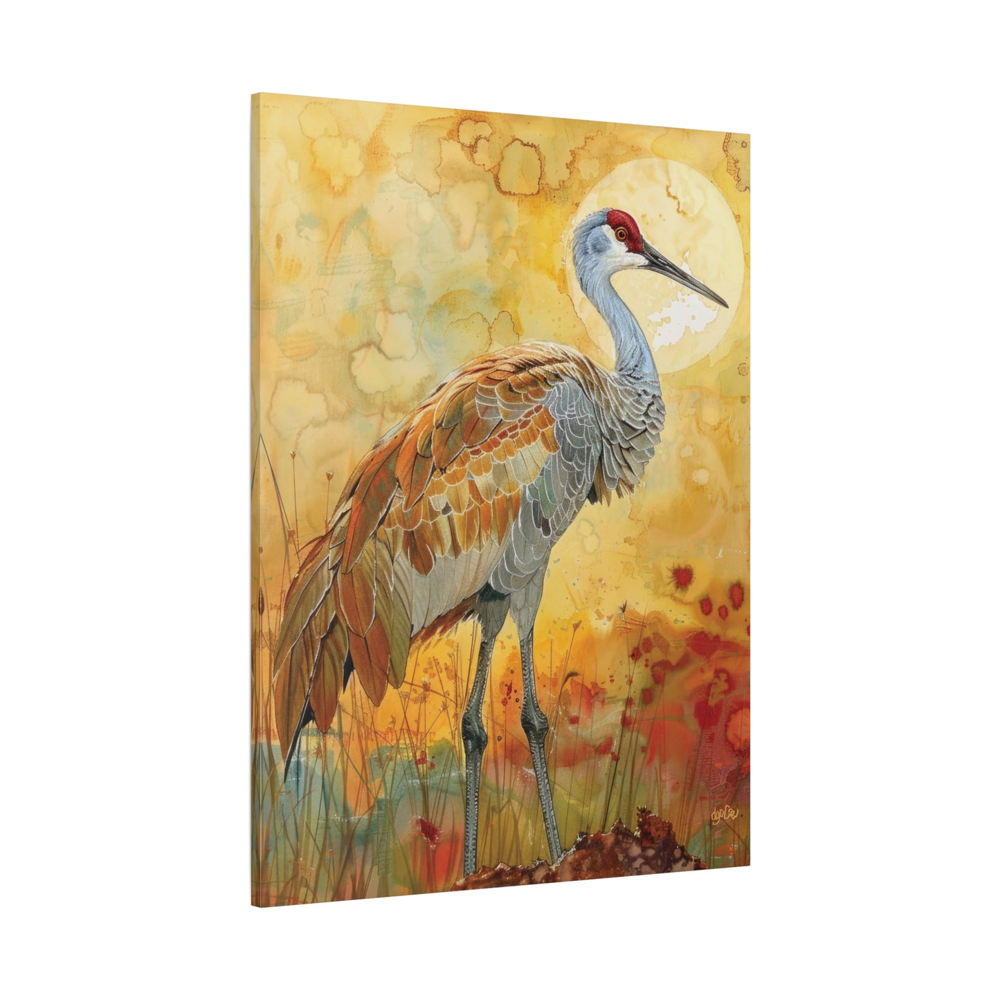 SANDHILL CRANE GLOWING