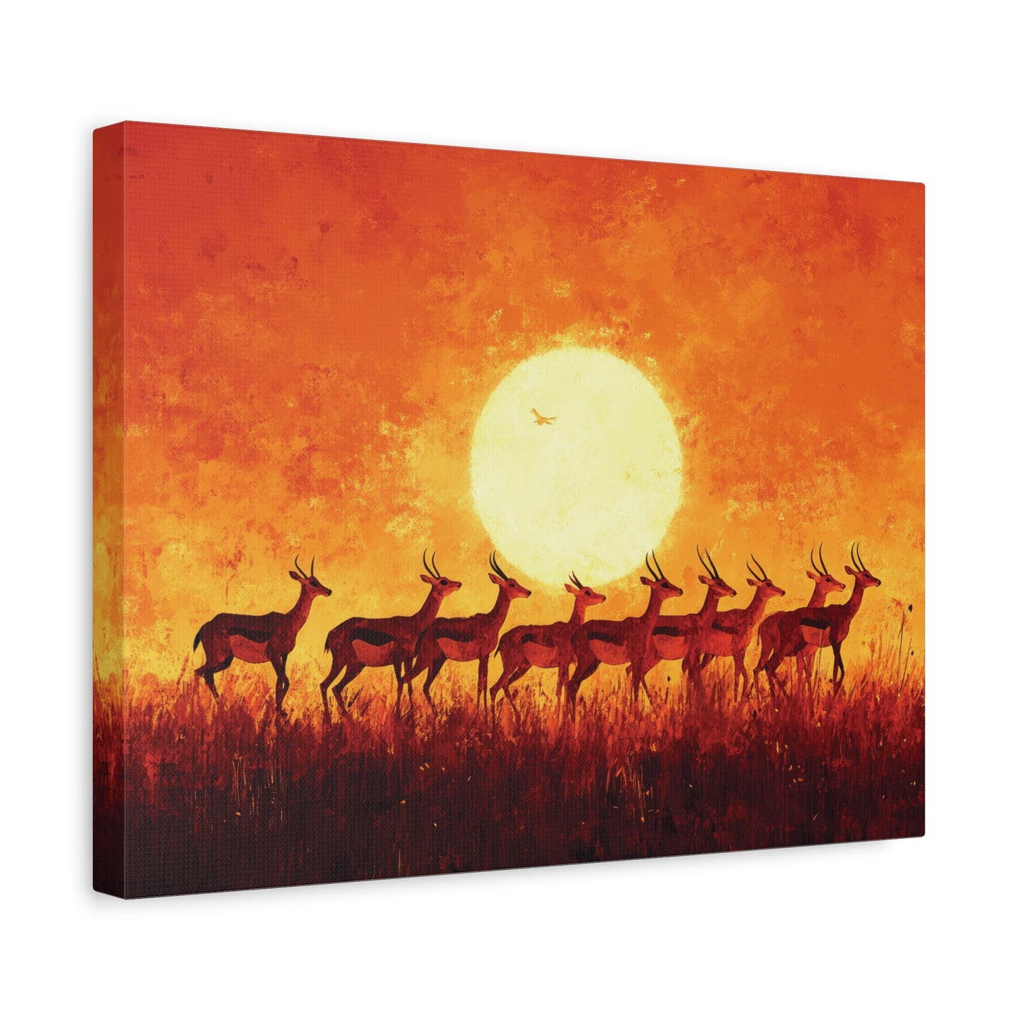 SUNSET IMPALAS