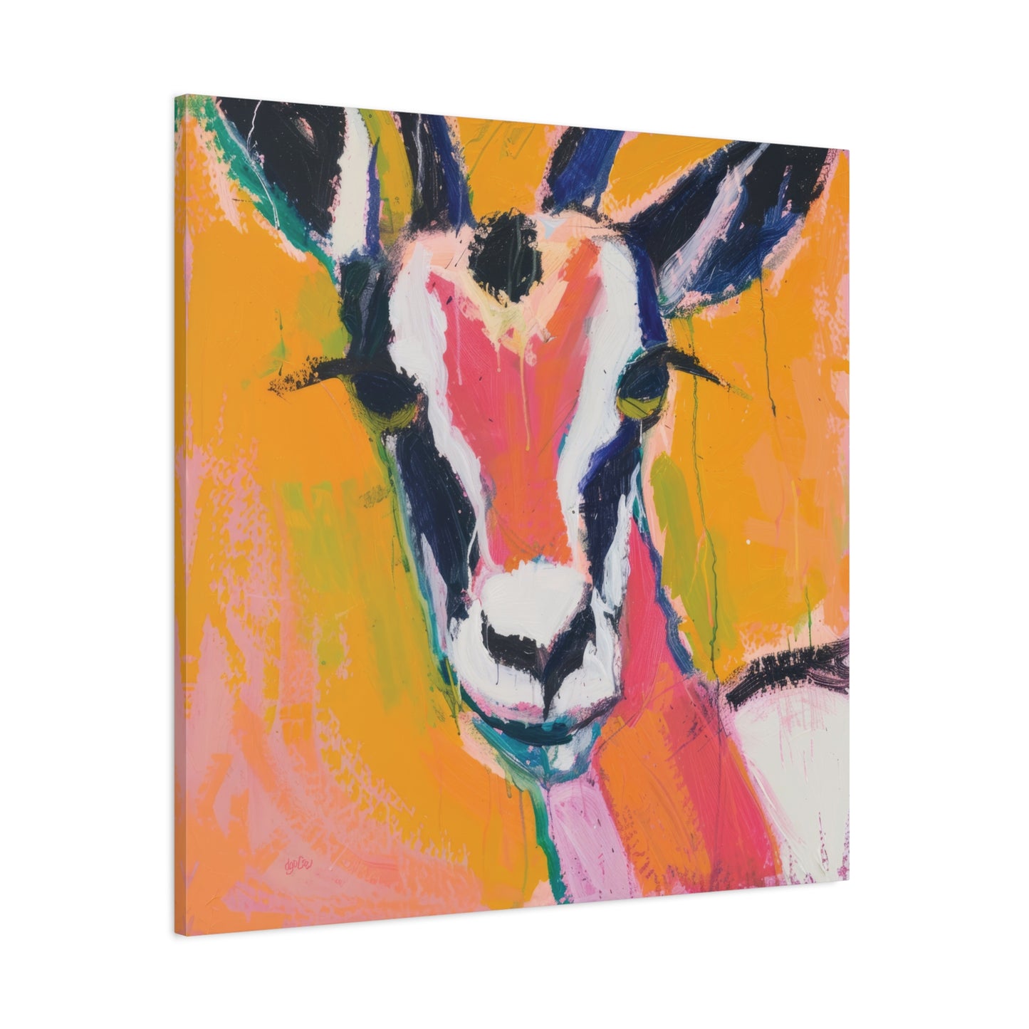 GAZING GAZELLE