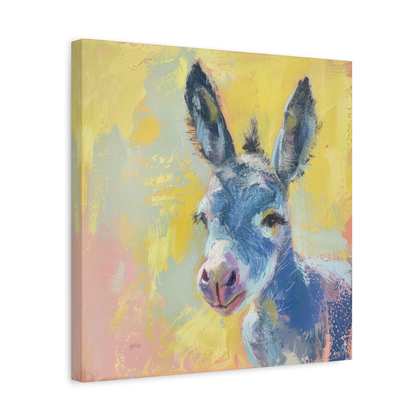 BURRO – BABY BLUE