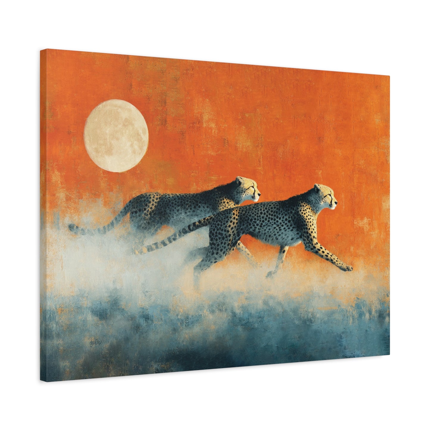 SUNRISE, FULL MOON CHEETAHS