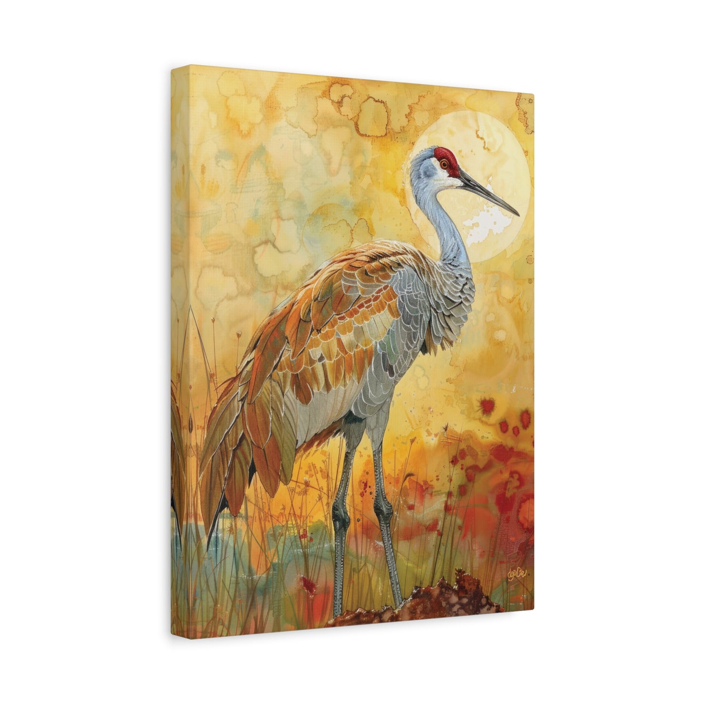 SANDHILL CRANE GLOWING