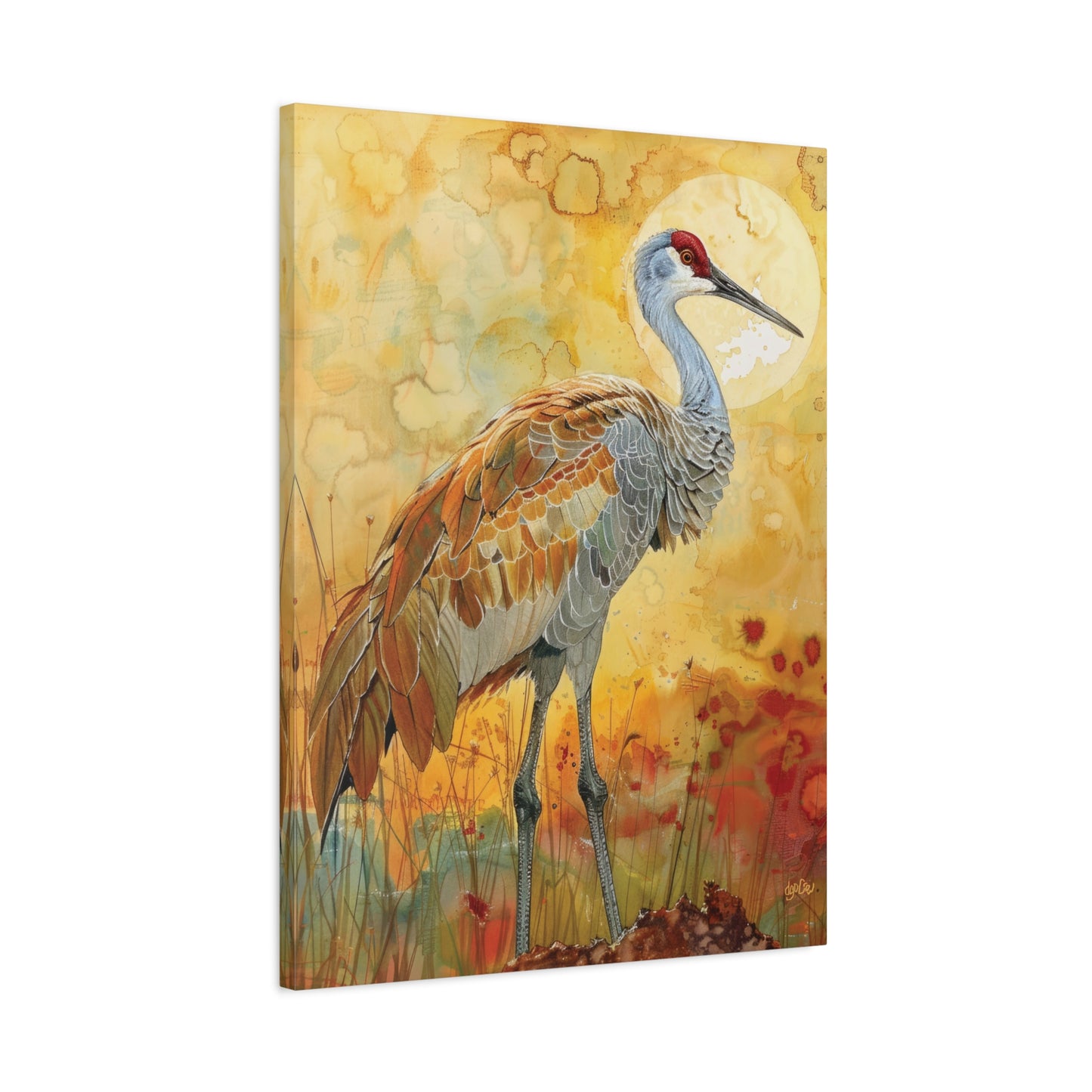 SANDHILL CRANE GLOWING