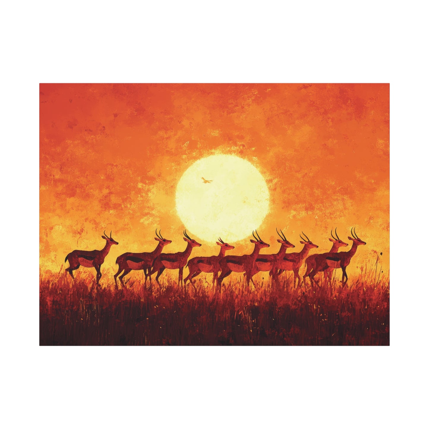SUNSET IMPALAS