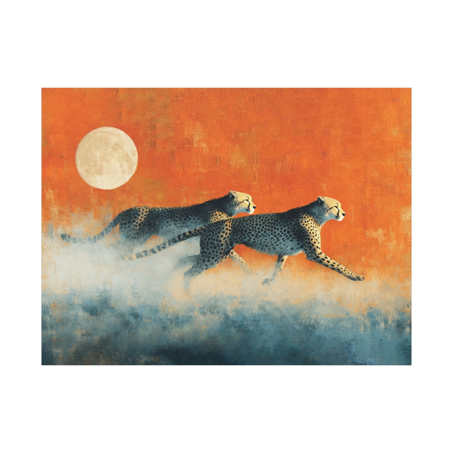 SUNRISE, FULL MOON CHEETAHS