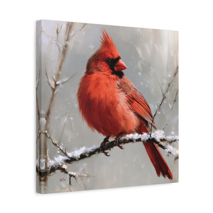 SNOWY CARDINAL