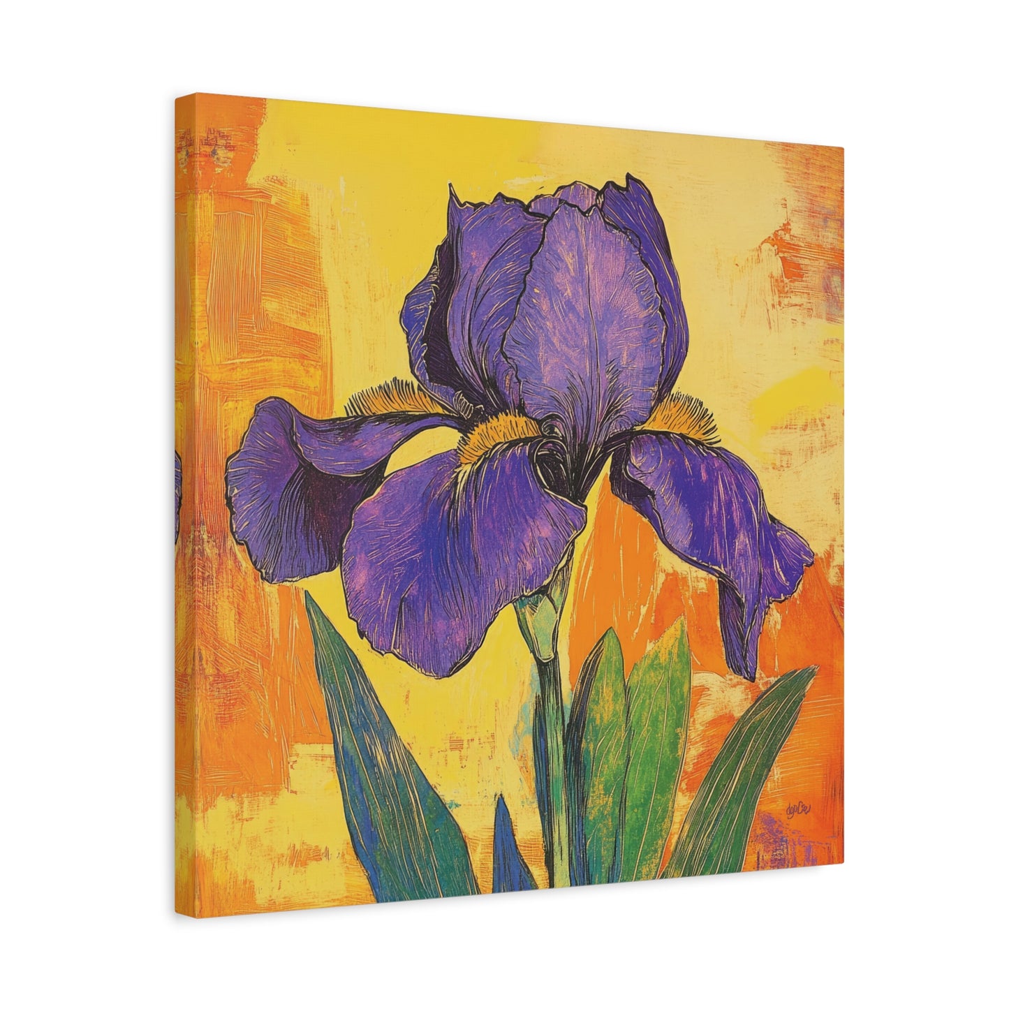 PURPLE IRIS SOLO