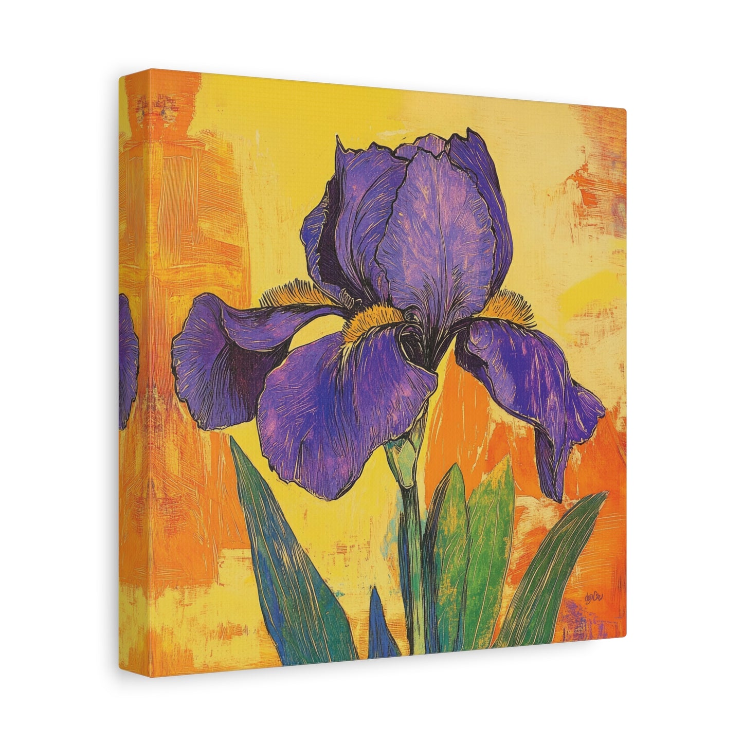 PURPLE IRIS SOLO
