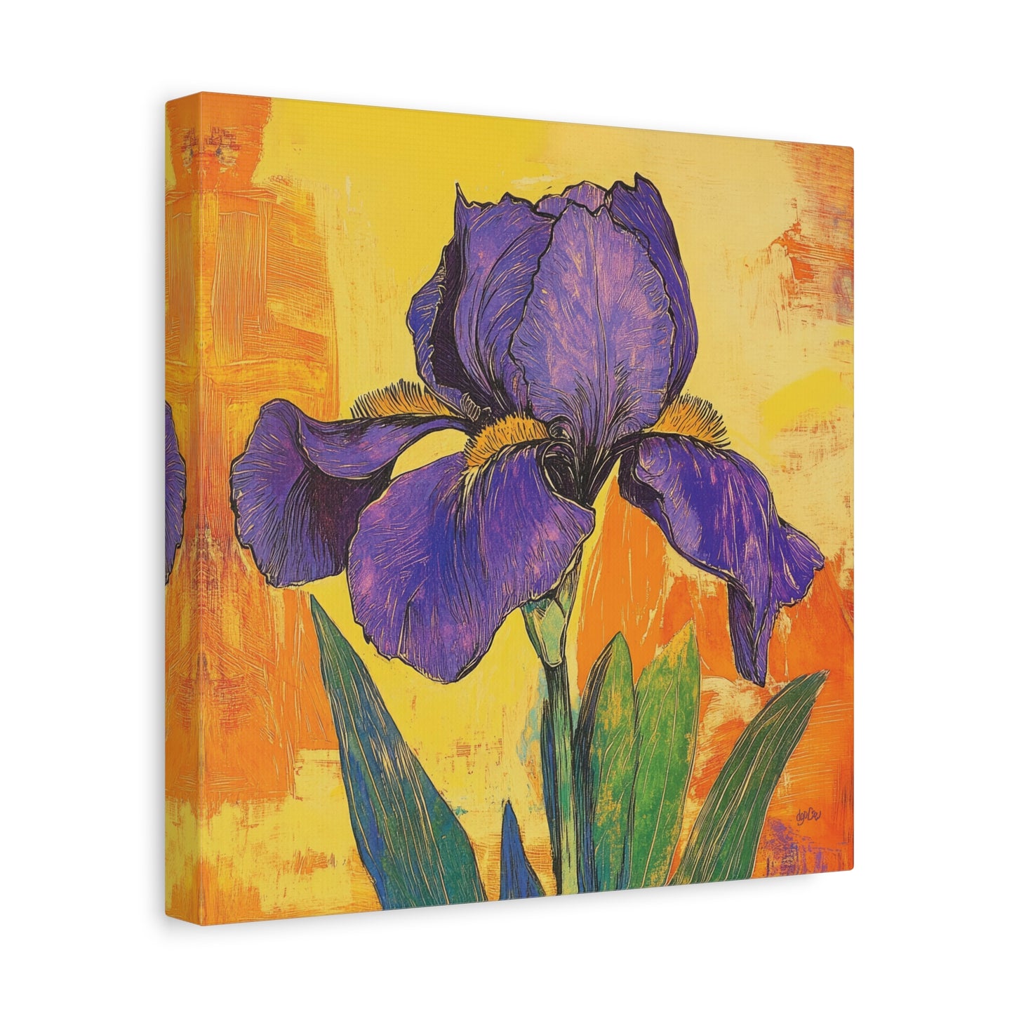 PURPLE IRIS SOLO