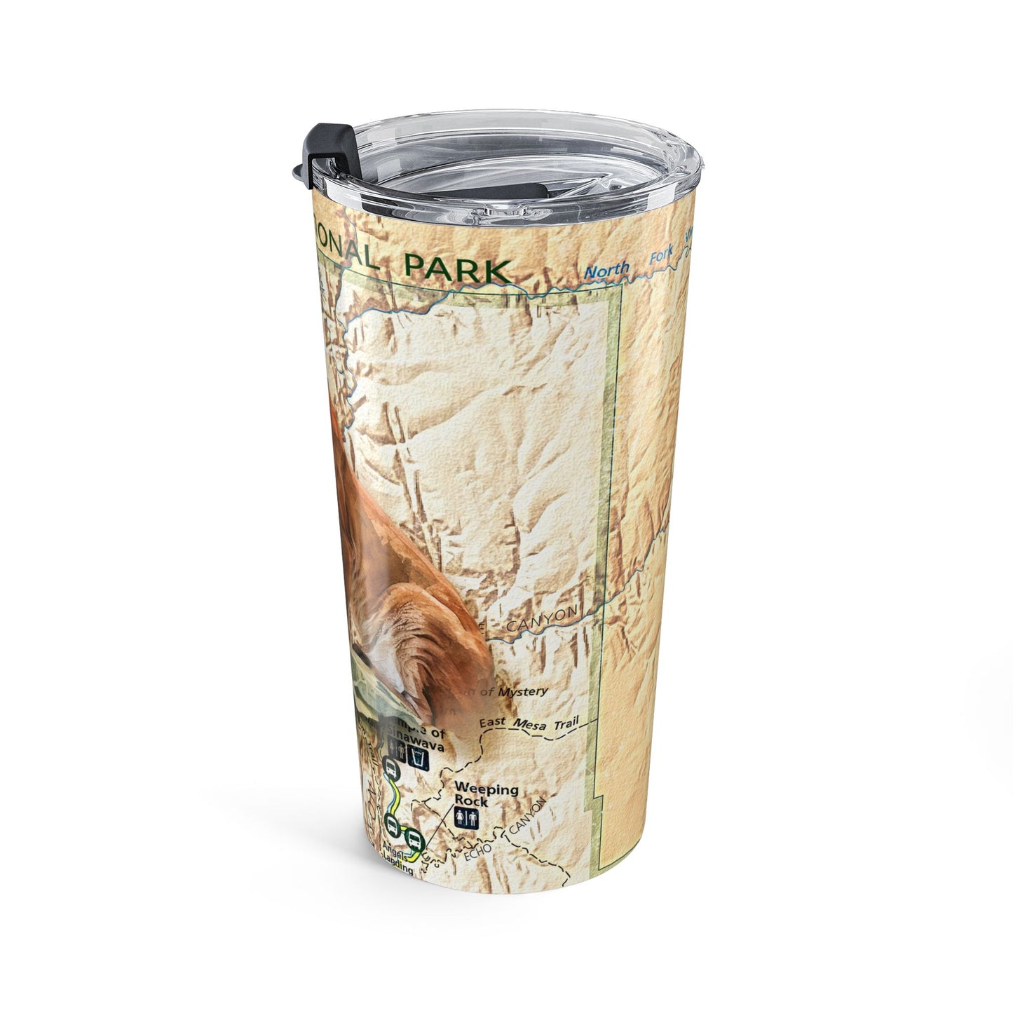 ZION NATIONAL PARK -  LION Tumbler 20oz