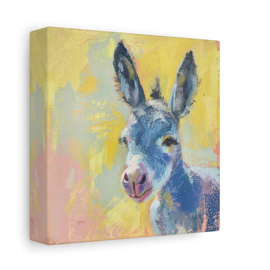 BURRO – BABY BLUE