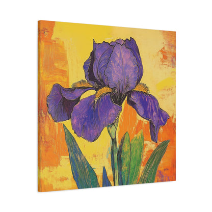 PURPLE IRIS SOLO