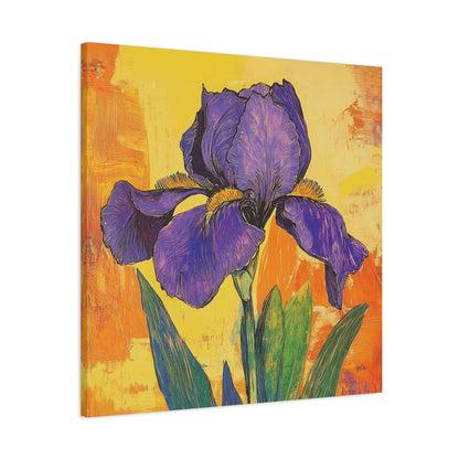 PURPLE IRIS SOLO