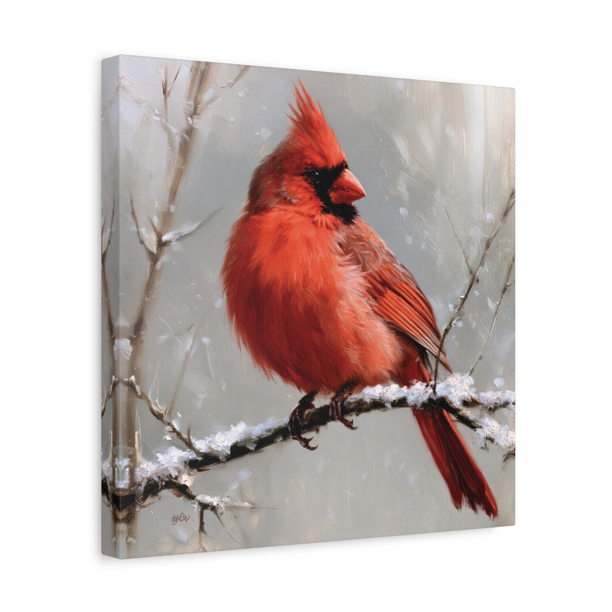 SNOWY CARDINAL