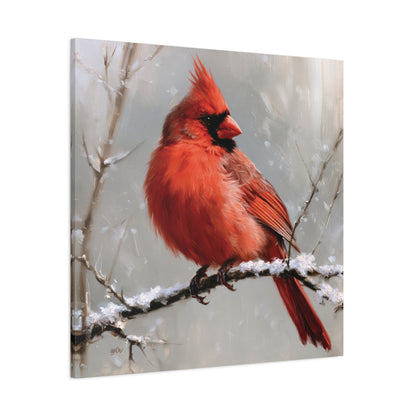 SNOWY CARDINAL