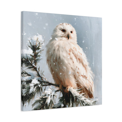 SNOWY OWL