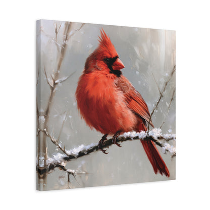 SNOWY CARDINAL
