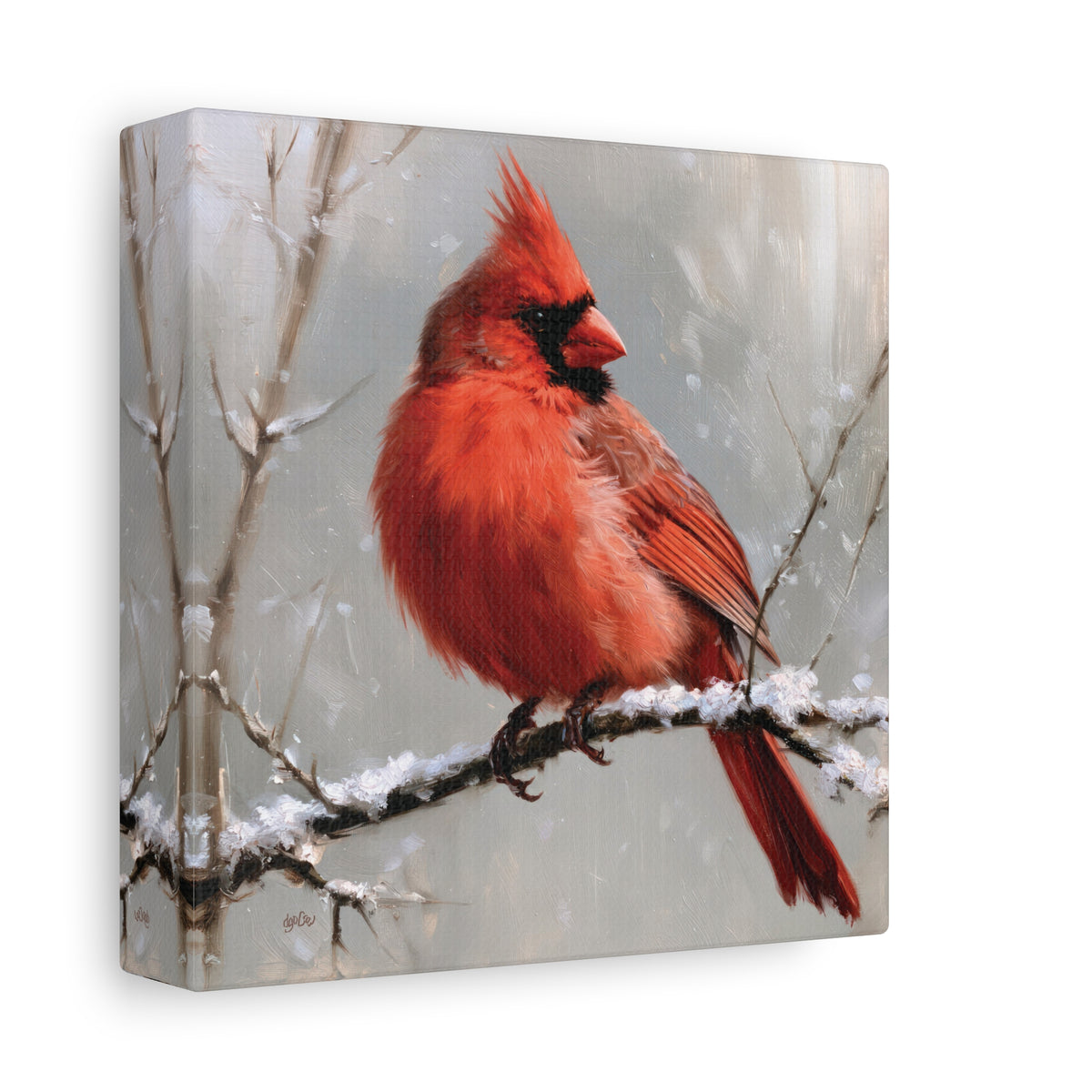 SNOWY CARDINAL