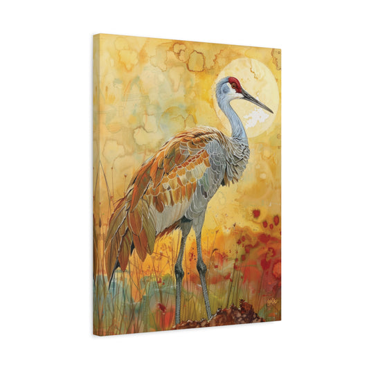 SANDHILL CRANE GLOWING