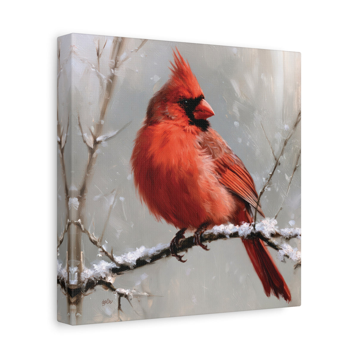 SNOWY CARDINAL