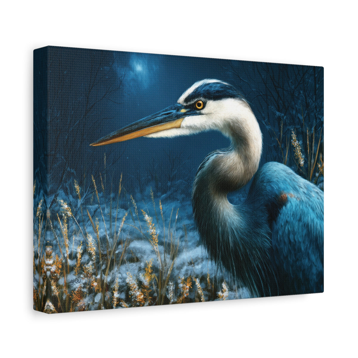 MIDNIGHT HERON