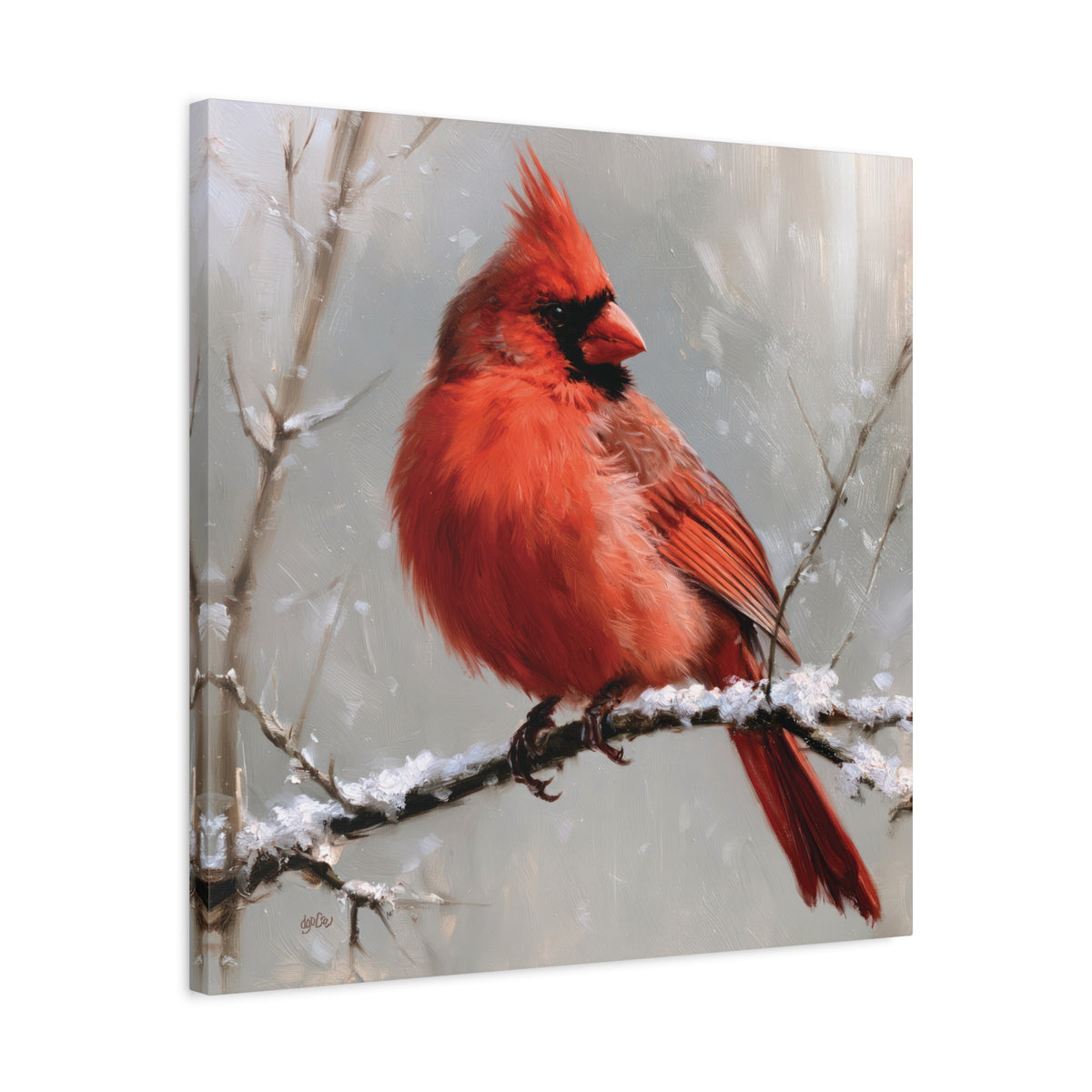 SNOWY CARDINAL