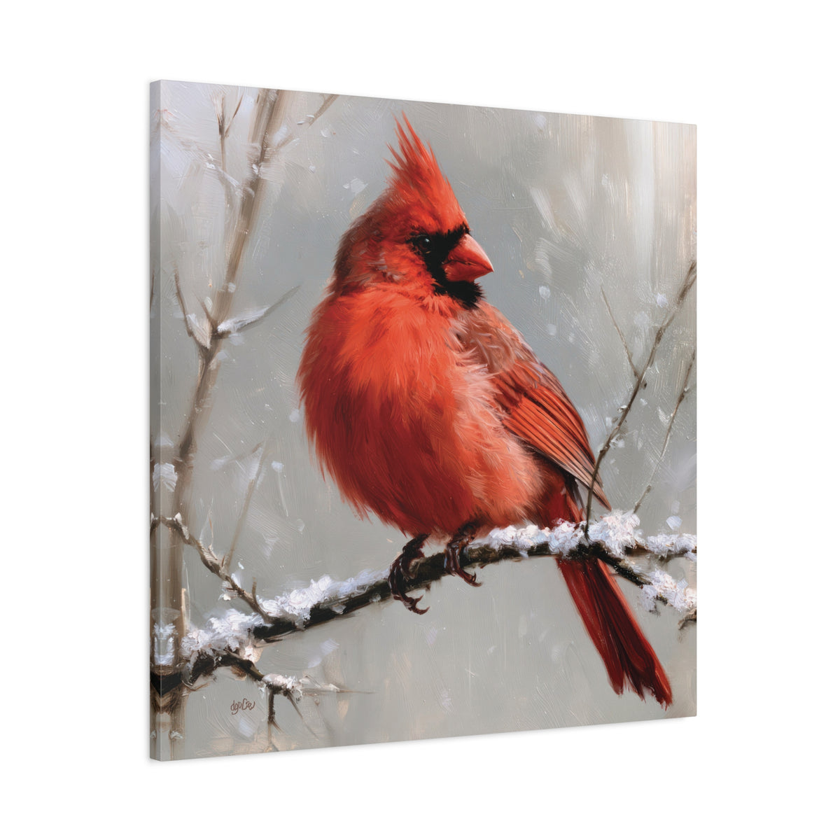 SNOWY CARDINAL