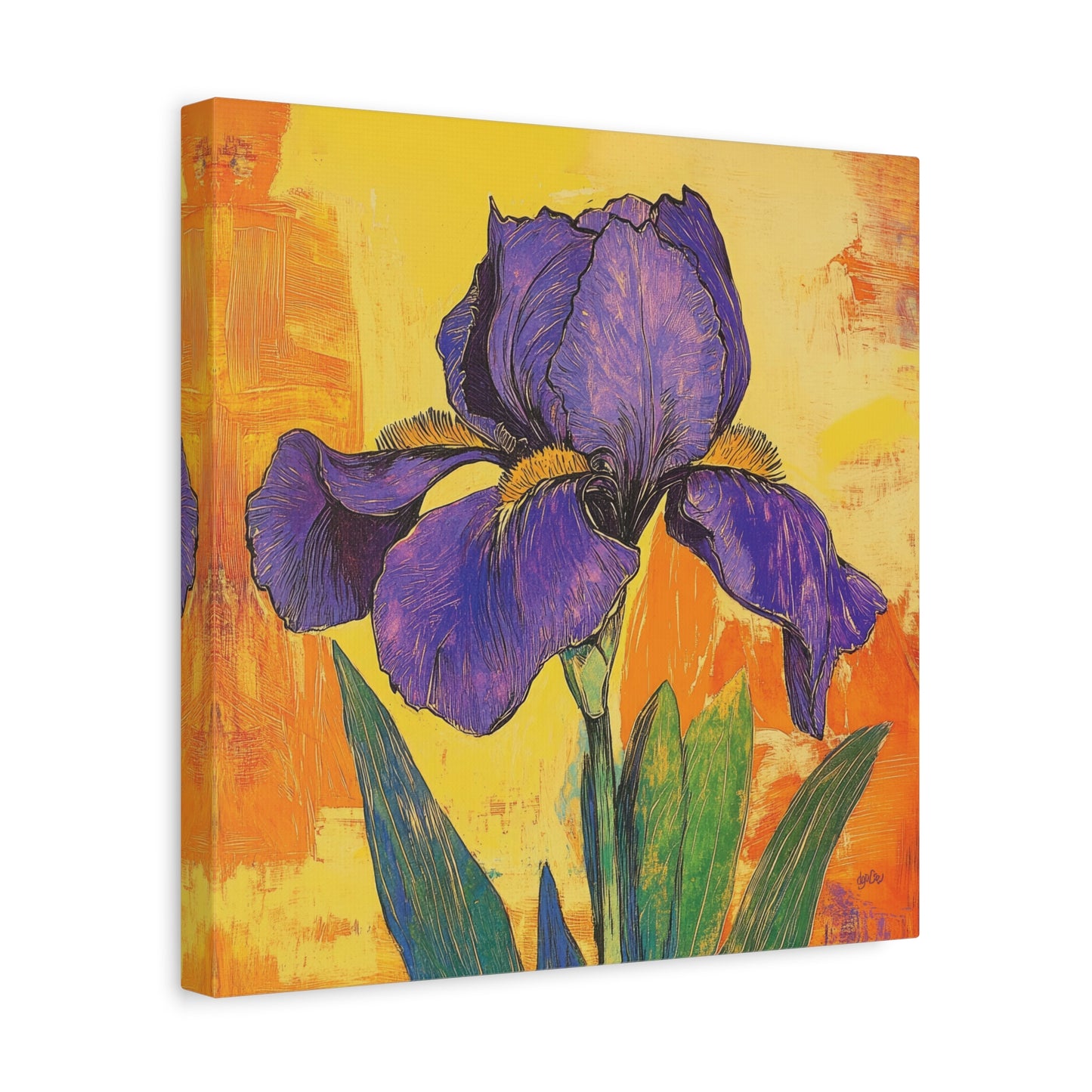 PURPLE IRIS SOLO