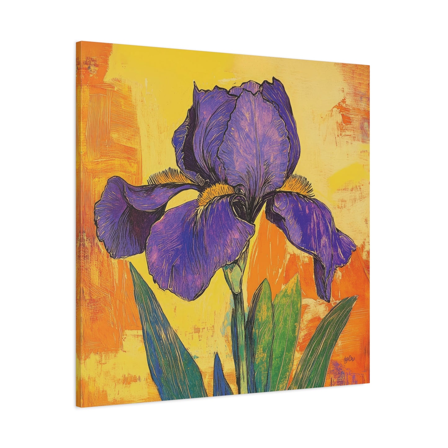 PURPLE IRIS SOLO