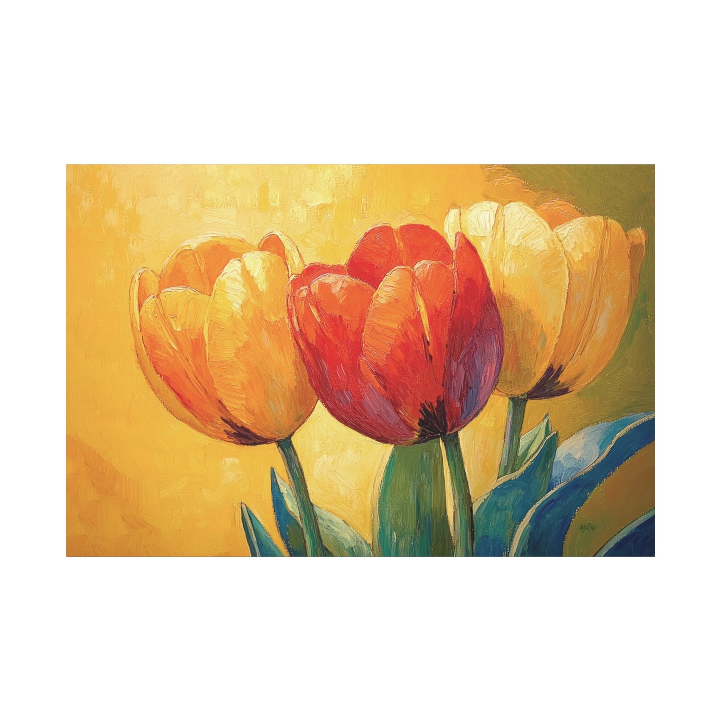GOLDEN GLOW TULIPS