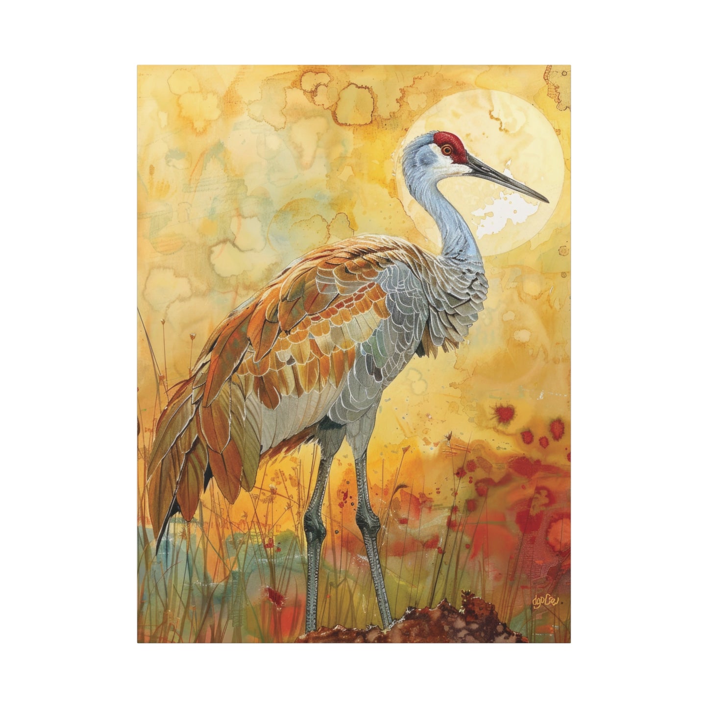 SANDHILL CRANE GLOWING