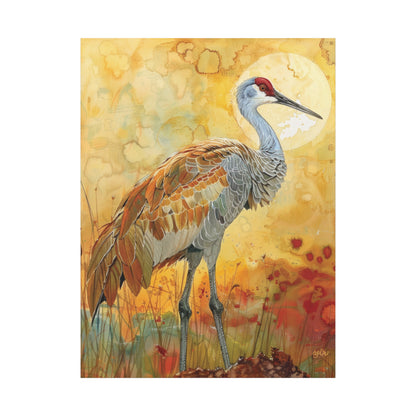 SANDHILL CRANE GLOWING