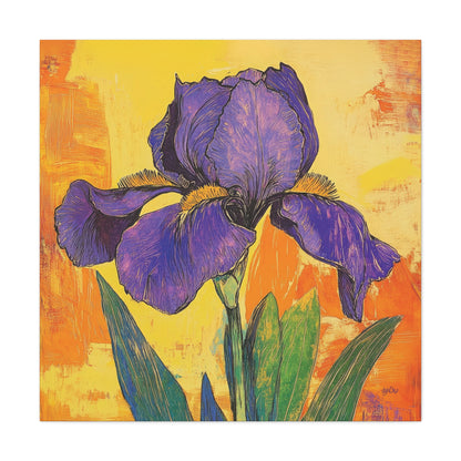 PURPLE IRIS SOLO