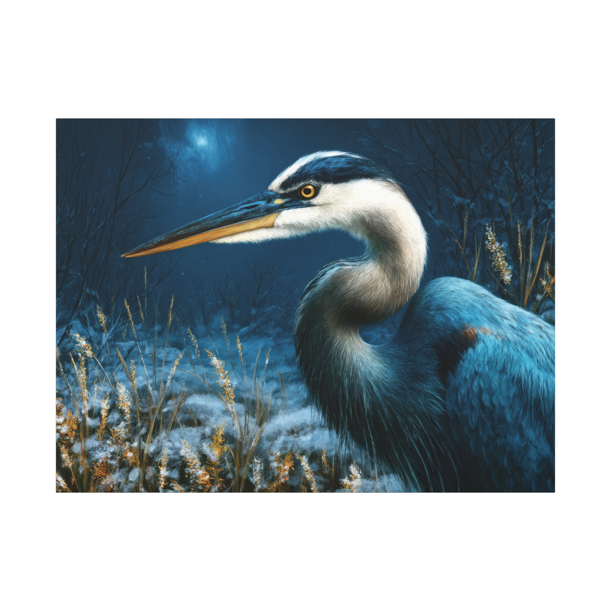 MIDNIGHT HERON